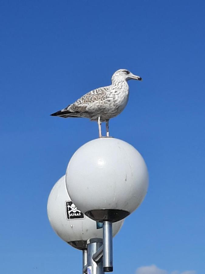 Penthouse Ferienwohnung Auszeit, Gerne Mit Hund, Wlan Inkl. Laboe Kültér fotó